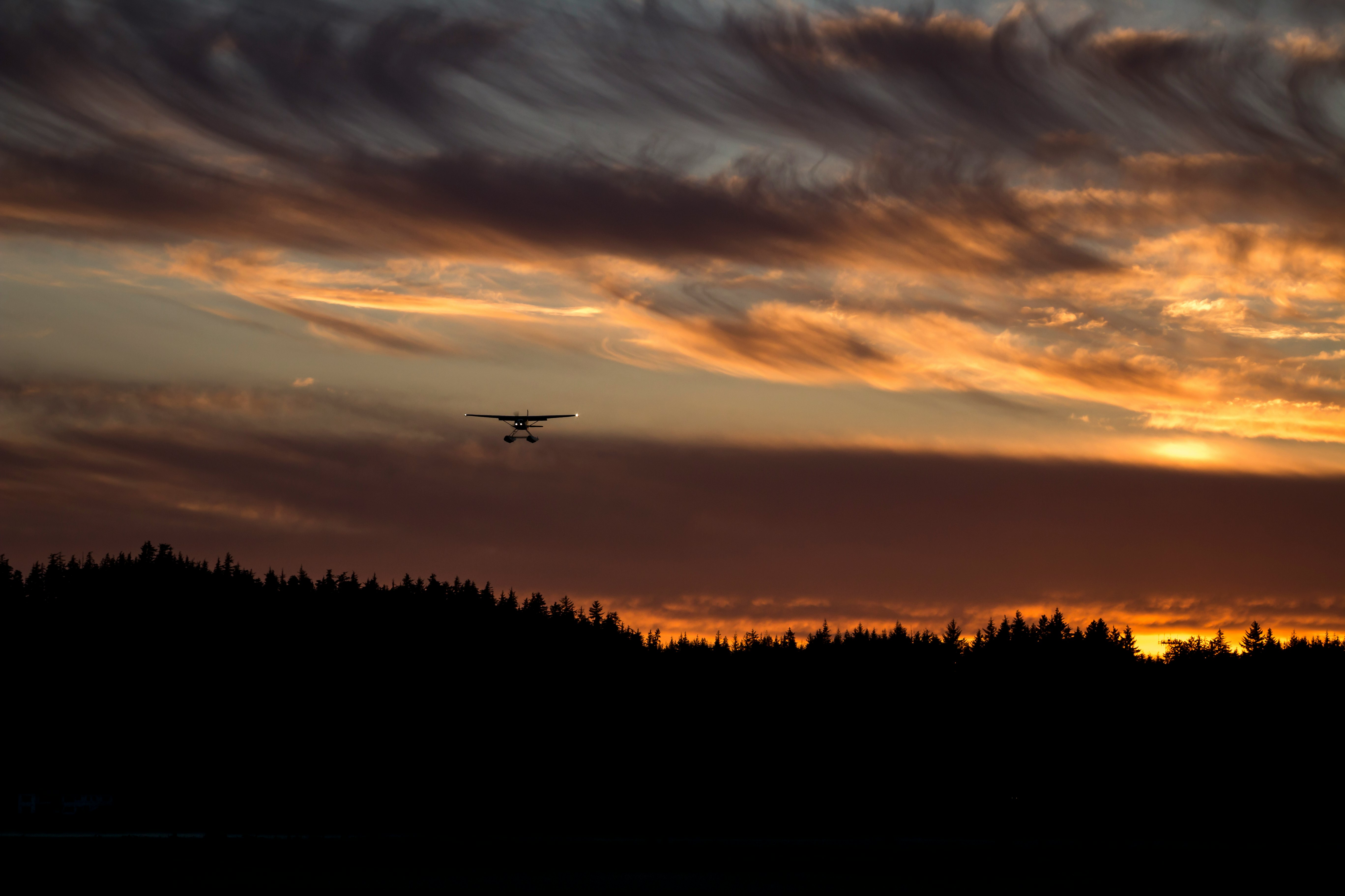 biplane on air above silhouette of trees during golden hour
